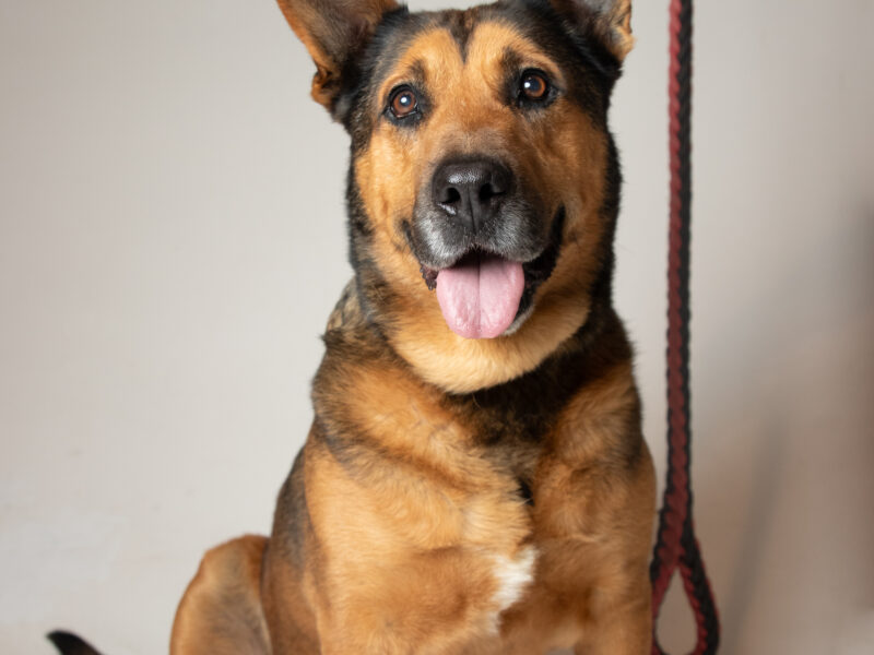 OSO