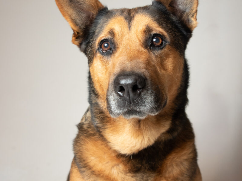 OSO