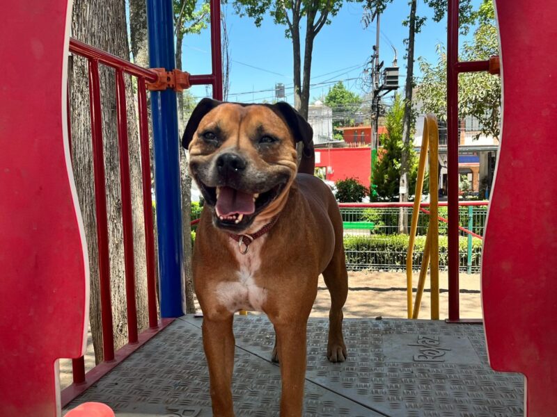 CARMELITO