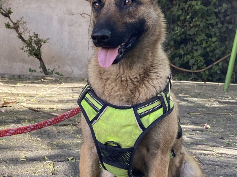KIARA