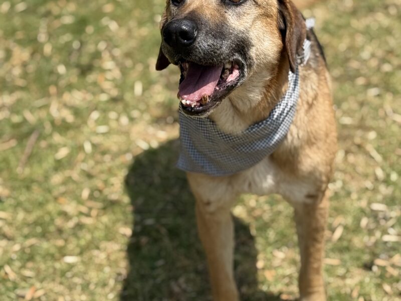 DUKE