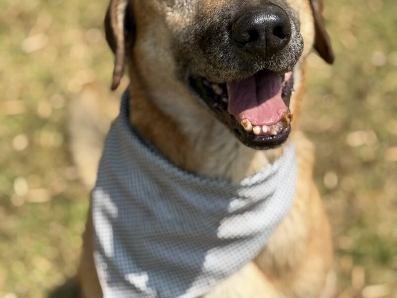 DUKE