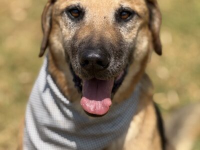 DUKE