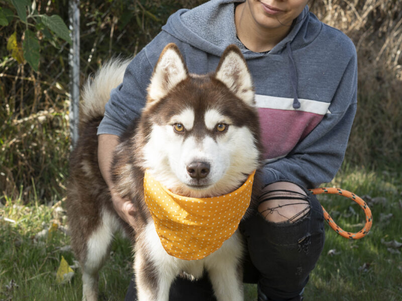 OKAMI
