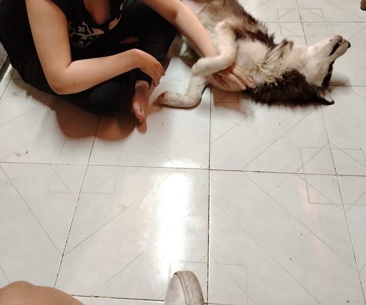OKAMI