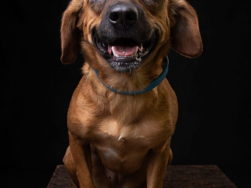 CHIQUITA