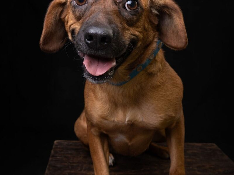 CHIQUITA