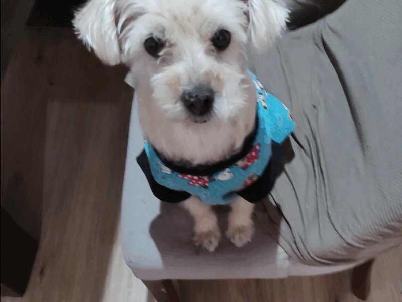 MOLLY