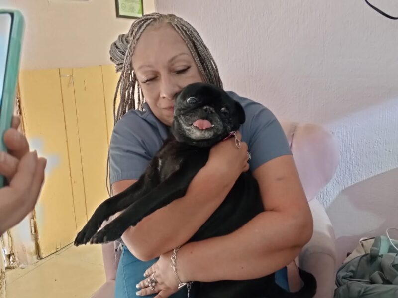LOLA