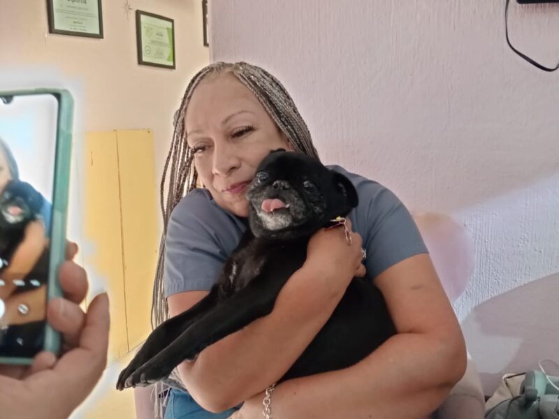 LOLA