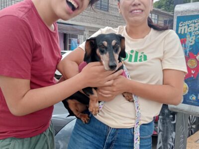 Salchis