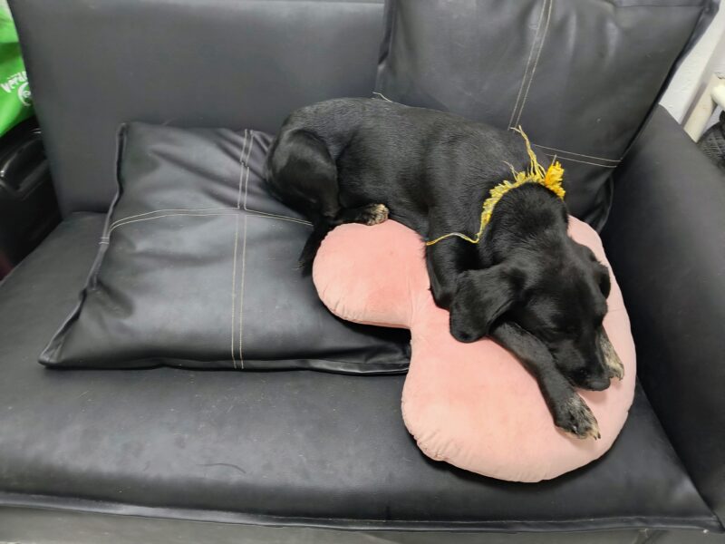 OREO