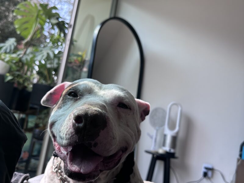 TOBY
