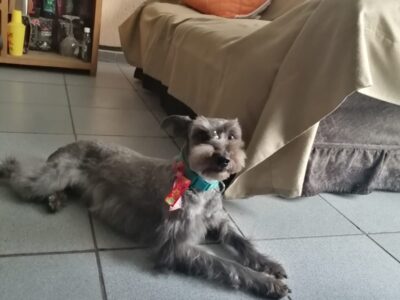 NALA