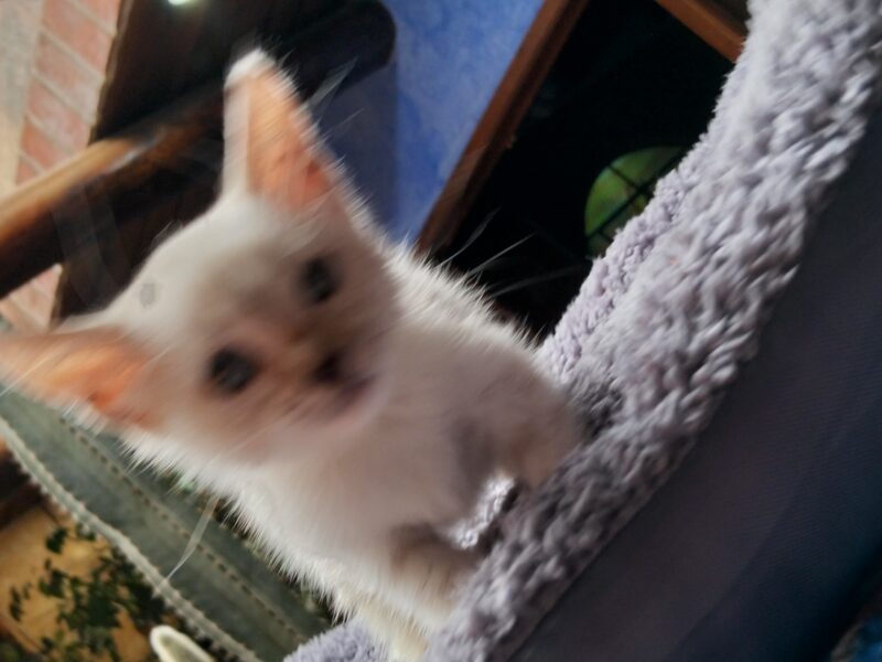 NUBE