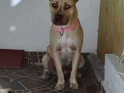 GÜERA