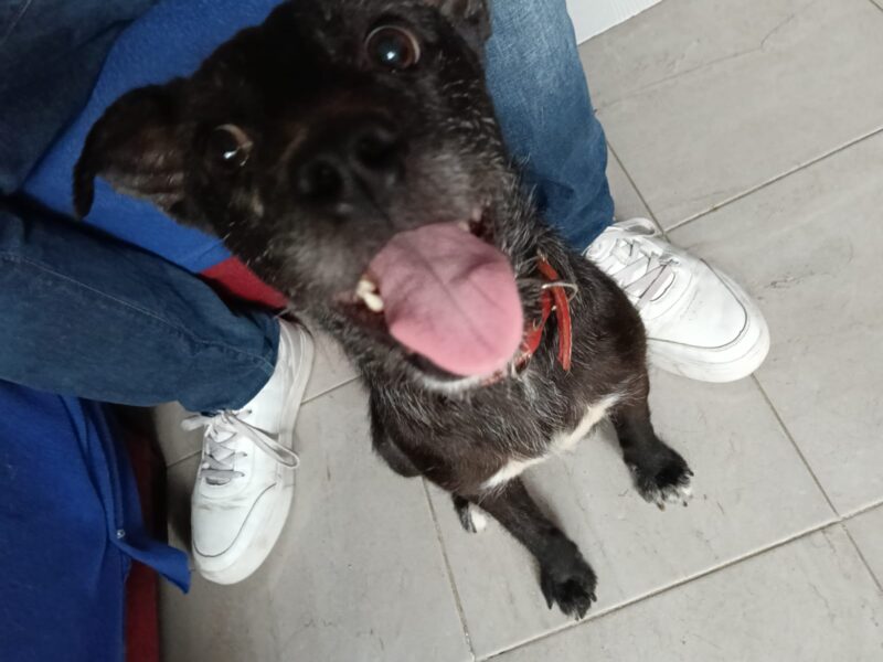 LÚLÚ