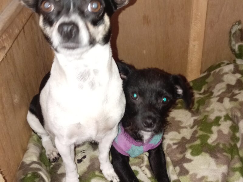 MAMÁ y FRIJOL