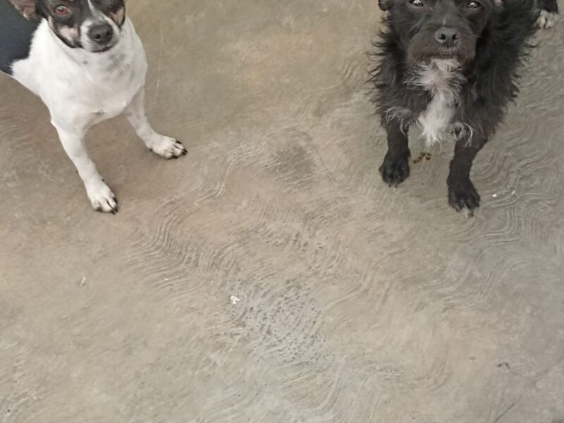 MAMÁ y FRIJOL