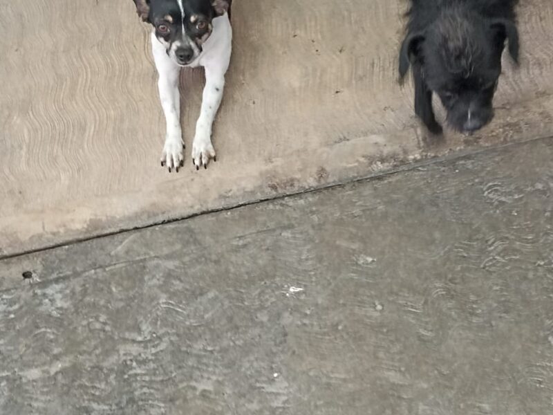 MAMÁ y FRIJOL