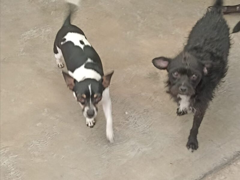 MAMÁ y FRIJOL