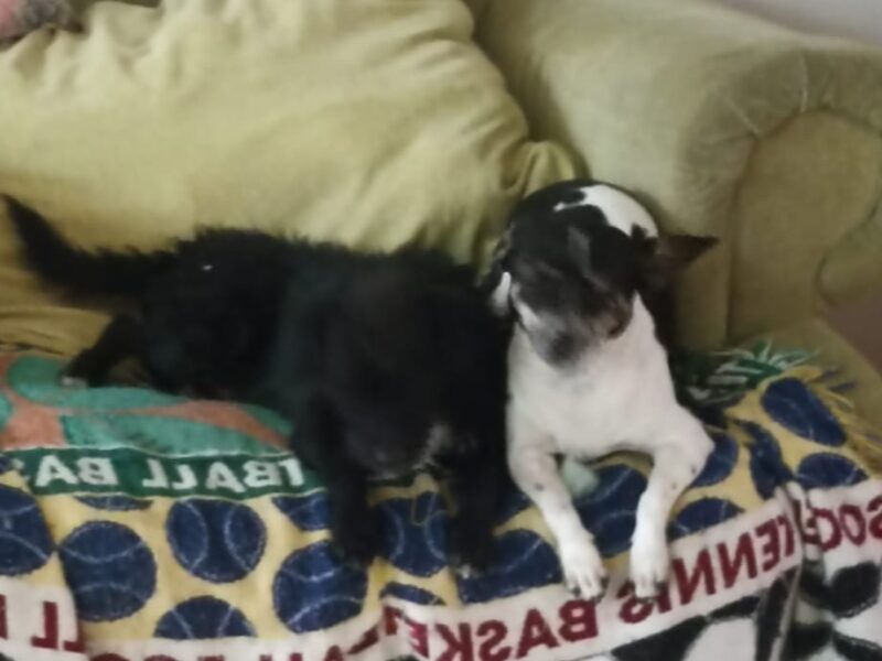 MAMÁ y FRIJOL