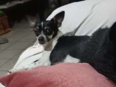 MAMÁ y FRIJOL