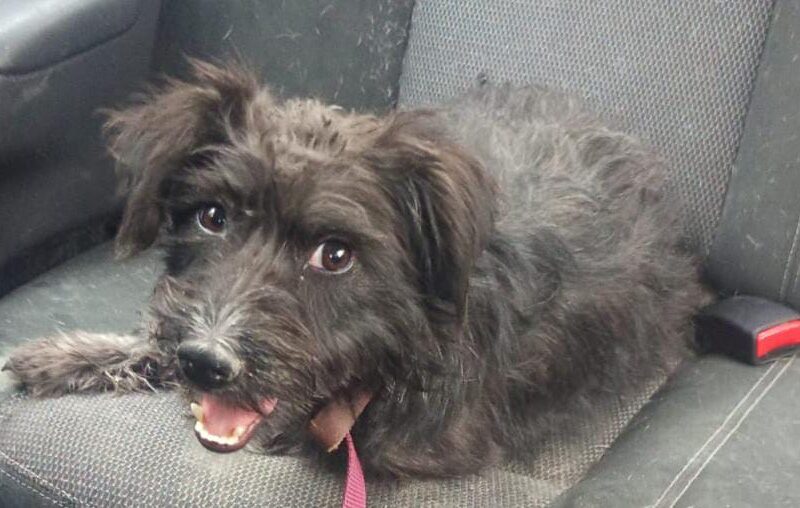 OREO