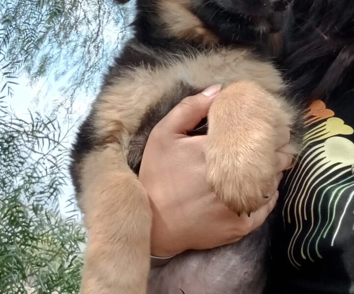 RAMÓN
