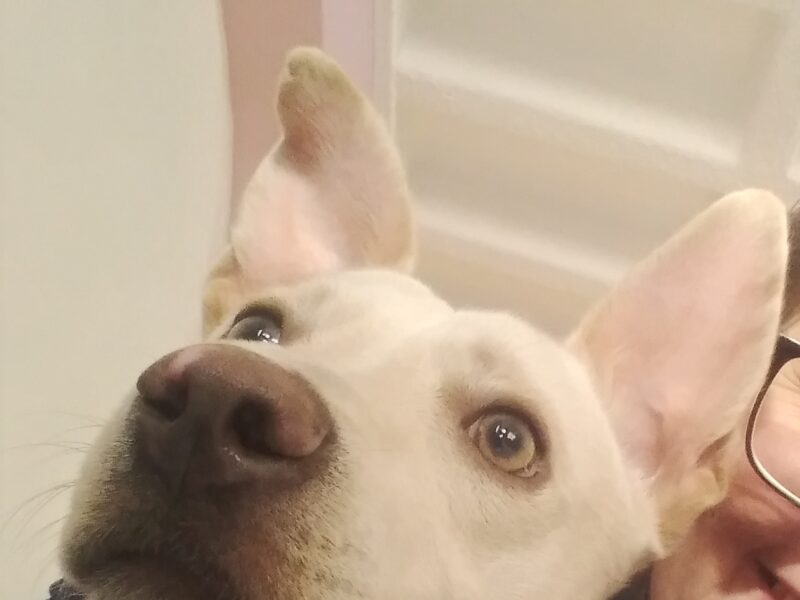 WERO