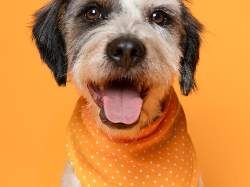 BENNY