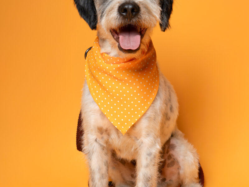 BENNY