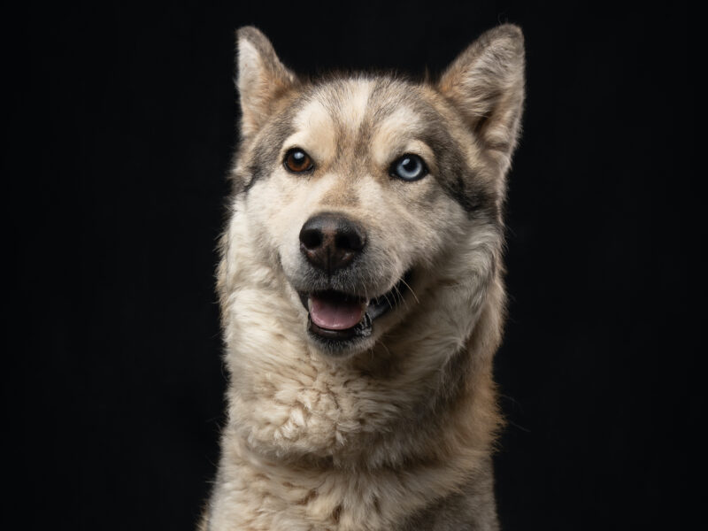 DAKOTA