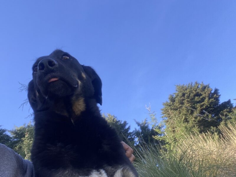 JACK