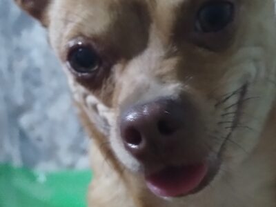 GABRIELITO