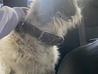 BENNY
