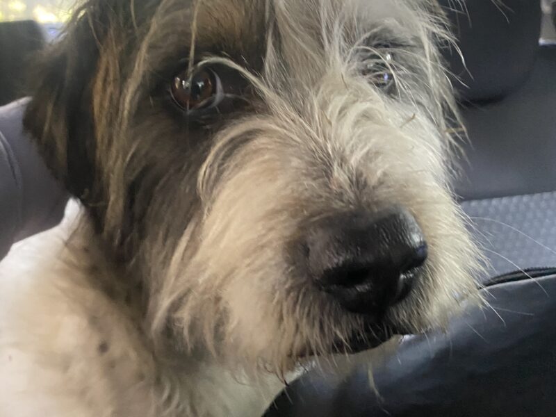 BENNY