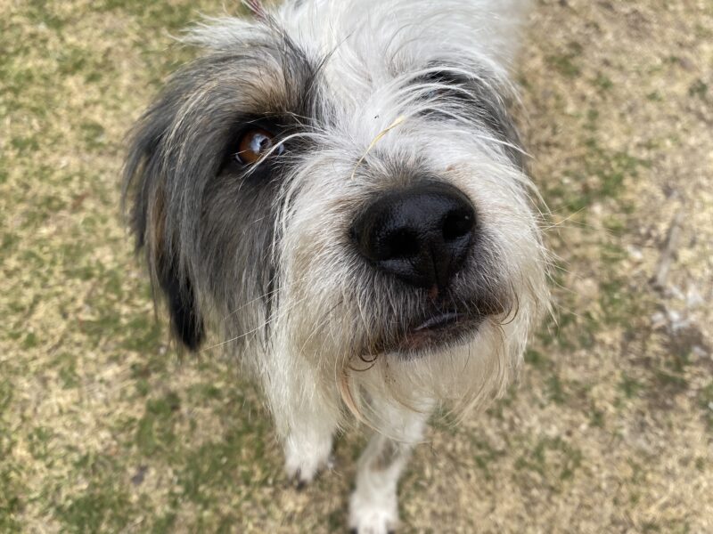 BENNY