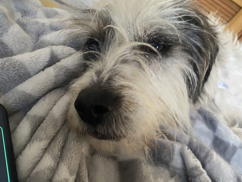 BENNY
