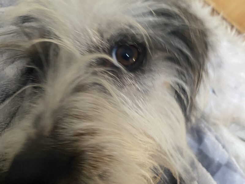 BENNY