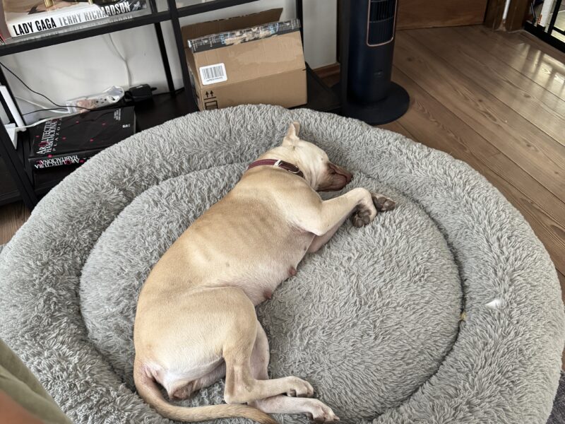 LENA