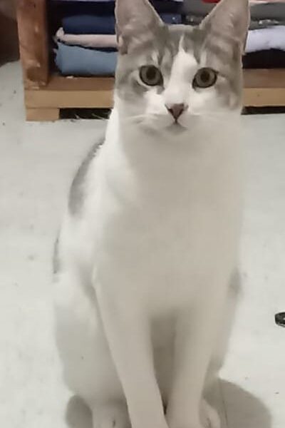 MOKA