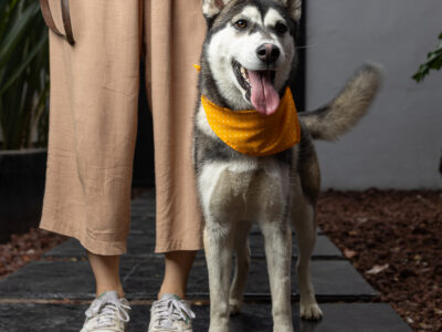 LAIKA