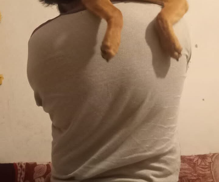 CANELA CAFESA