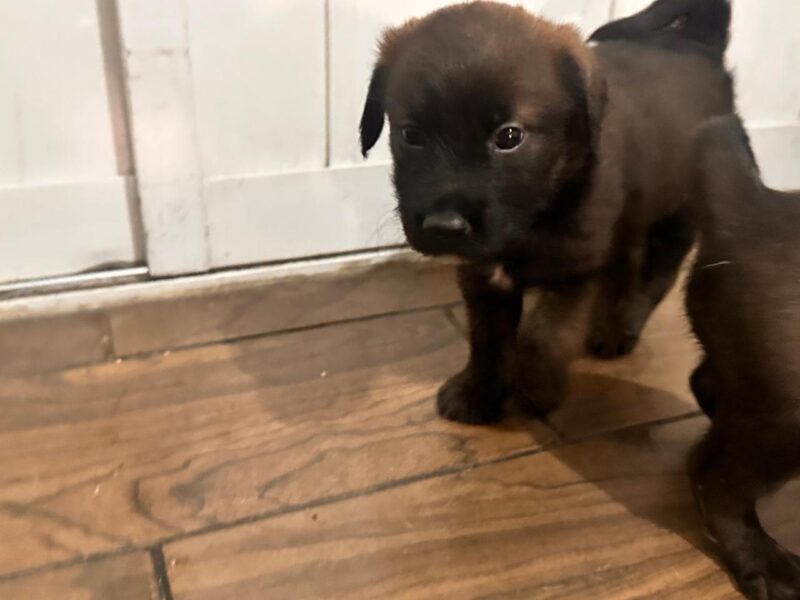 OSO