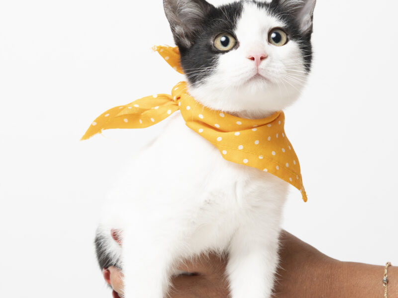 YUKI
