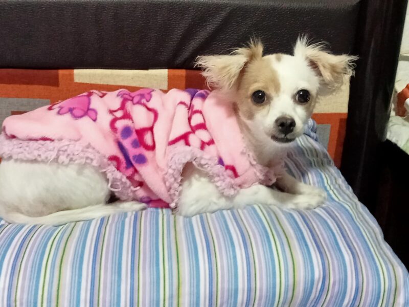 CHIQUITA