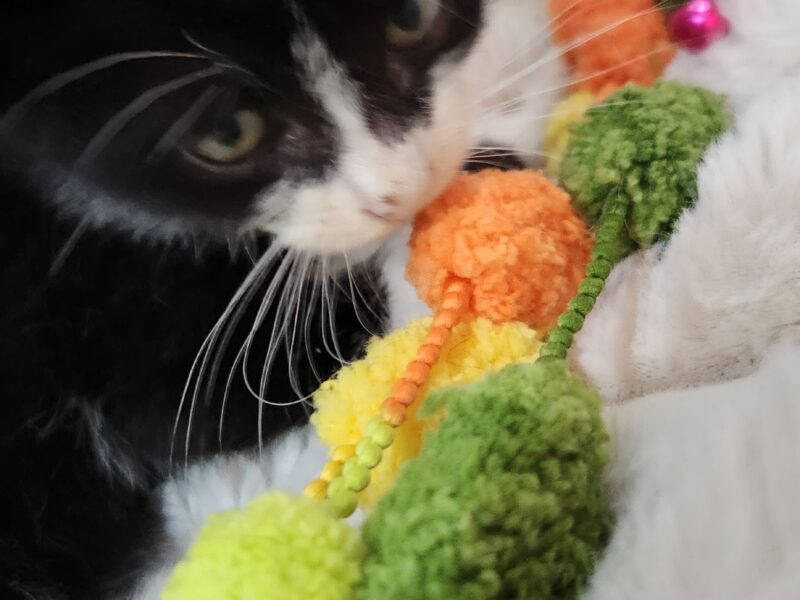 MILO