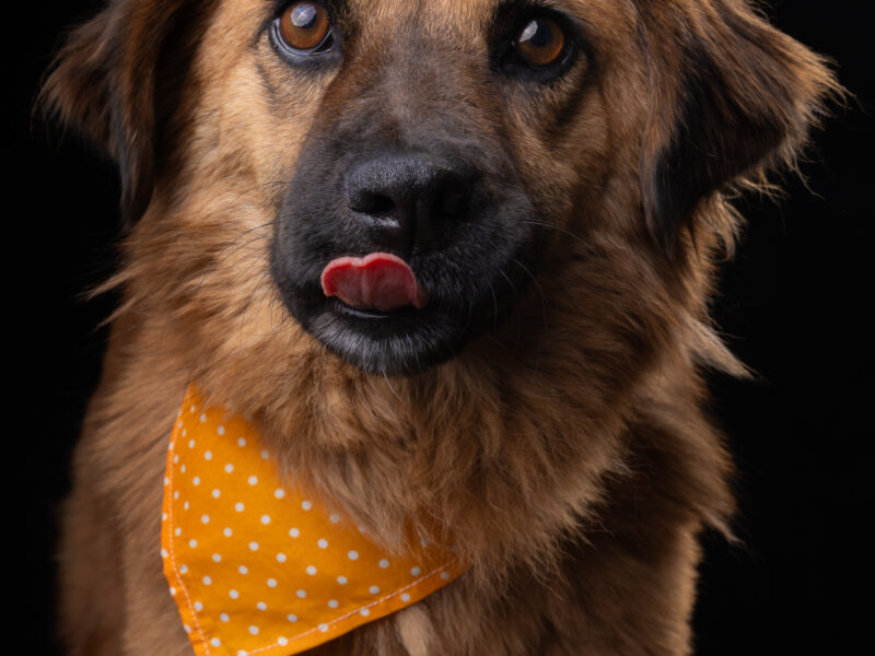 CARMELA