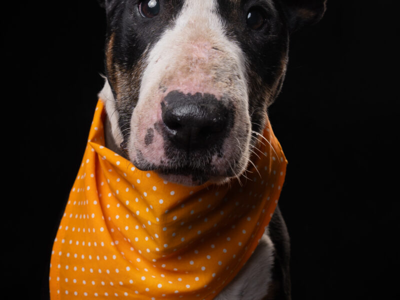 ASTRO